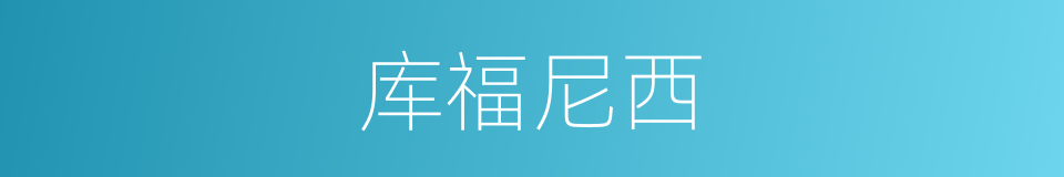 库福尼西的同义词