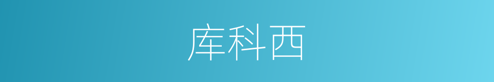 库科西的同义词