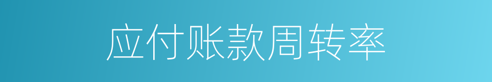 应付账款周转率的同义词