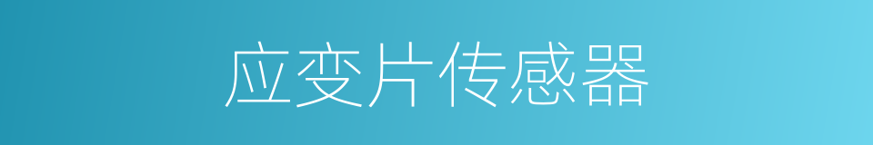 应变片传感器的同义词