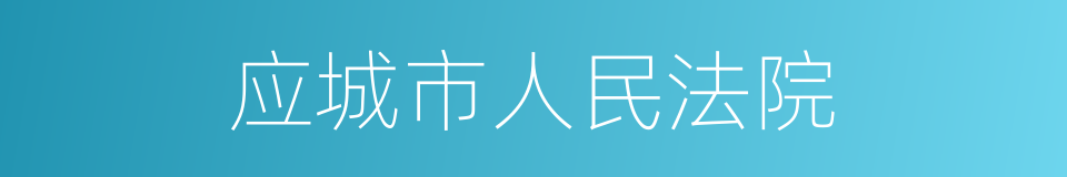 应城市人民法院的同义词