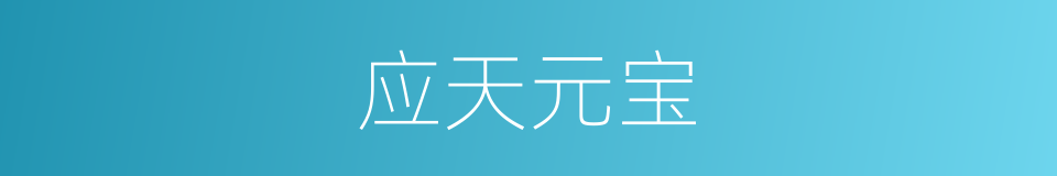 应天元宝的同义词