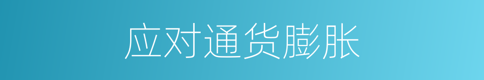 应对通货膨胀的同义词