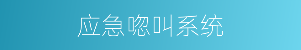 应急唿叫系统的同義詞