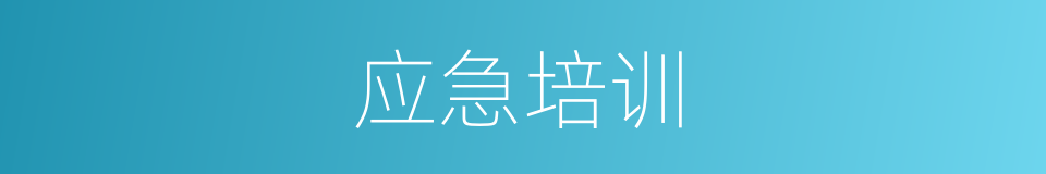 应急培训的同义词