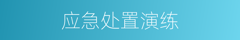 应急处置演练的同义词