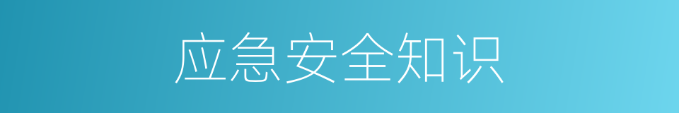 应急安全知识的同义词