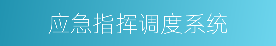 应急指挥调度系统的同义词