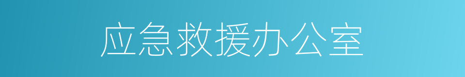 应急救援办公室的同义词