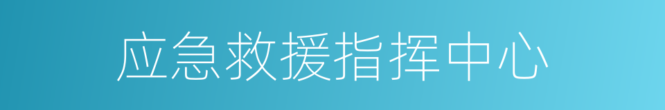 应急救援指挥中心的同义词