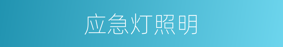 应急灯照明的同义词
