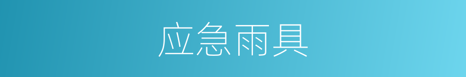 应急雨具的同义词