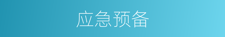 应急预备的同义词