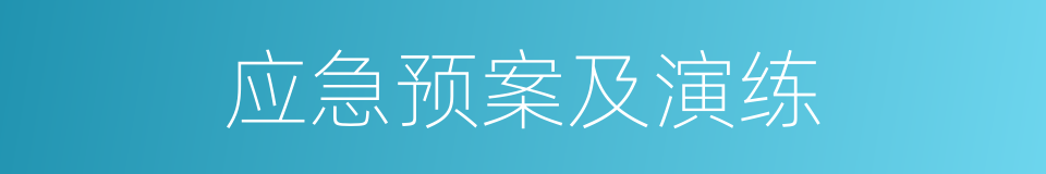 应急预案及演练的同义词