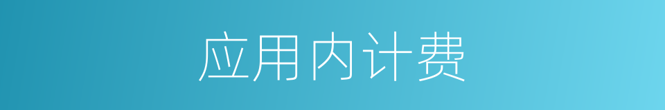 应用内计费的同义词