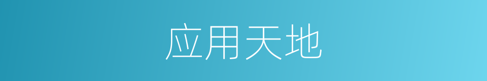 应用天地的同义词
