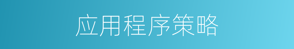 应用程序策略的同义词