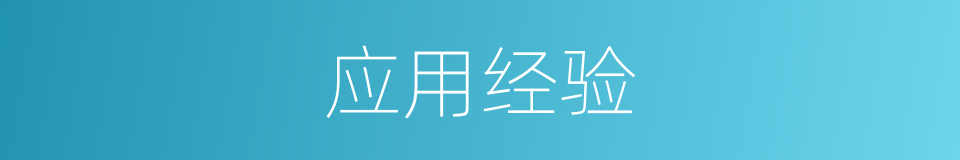 应用经验的同义词