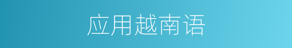 应用越南语的同义词