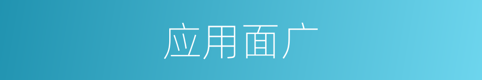 应用面广的同义词