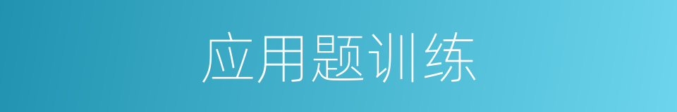 应用题训练的同义词