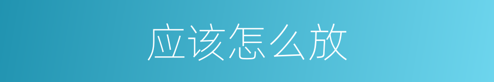 应该怎么放的同义词