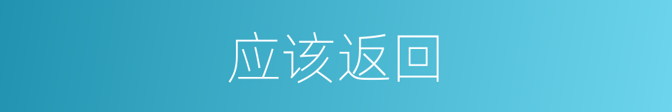 应该返回的意思