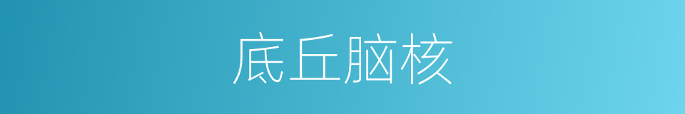 底丘脑核的同义词