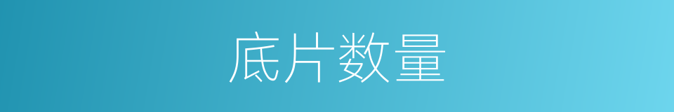 底片数量的同义词