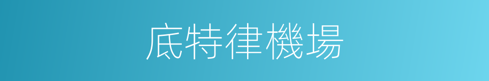 底特律機場的同義詞
