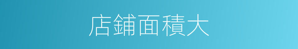 店鋪面積大的同義詞