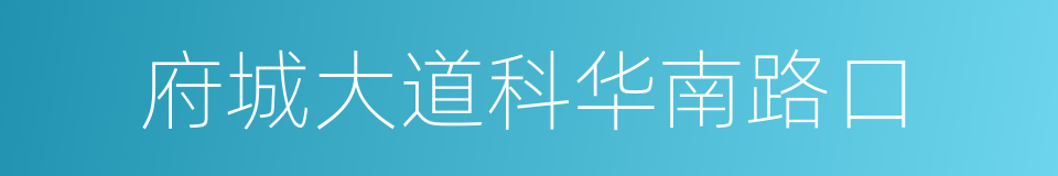 府城大道科华南路口的同义词