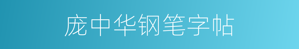 庞中华钢笔字帖的同义词