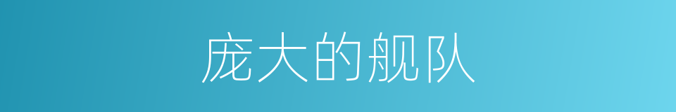 庞大的舰队的同义词