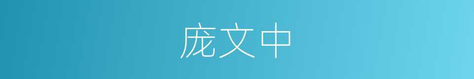 庞文中的同义词