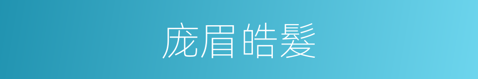 庞眉皓髮的同义词
