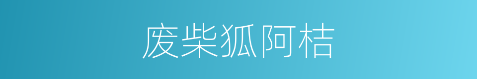 废柴狐阿桔的同义词