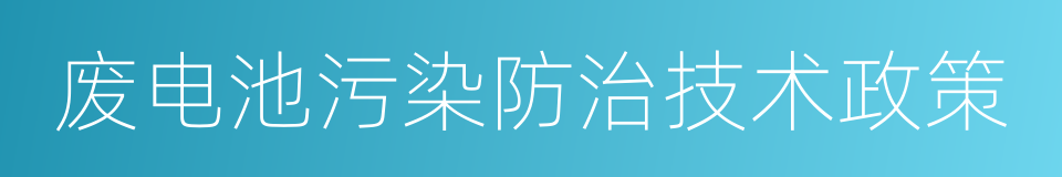 废电池污染防治技术政策的同义词