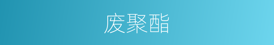 废聚酯的同义词