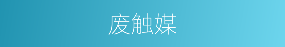 废触媒的同义词