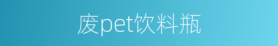 废pet饮料瓶的同义词