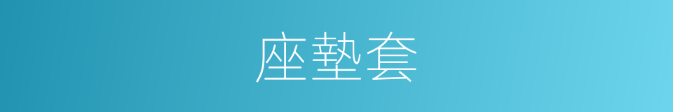 座墊套的同義詞