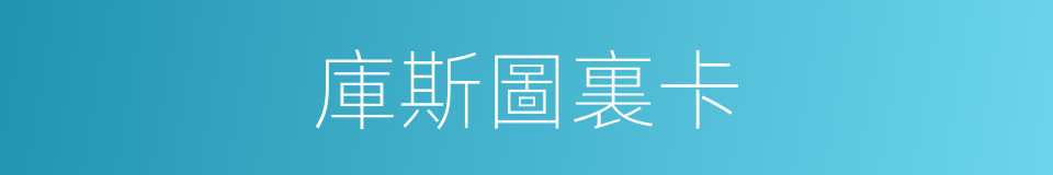 庫斯圖裏卡的同義詞