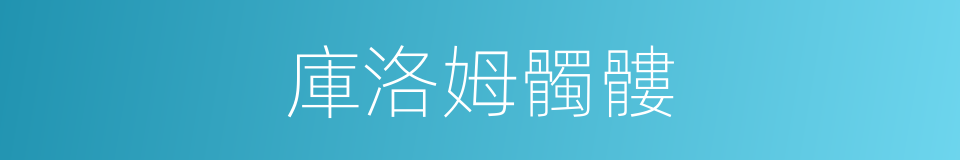庫洛姆髑髏的同義詞