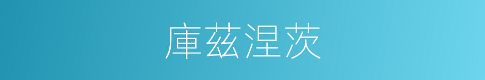 庫茲涅茨的同義詞