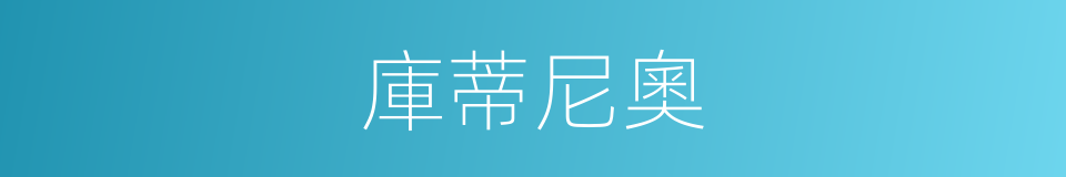 庫蒂尼奧的同義詞