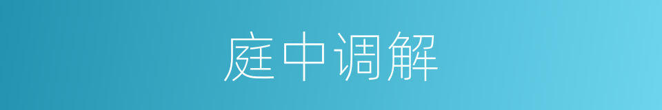 庭中调解的同义词