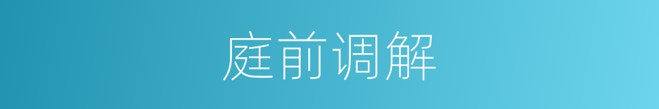 庭前调解的同义词