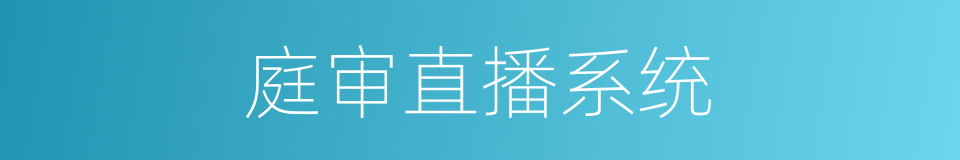庭审直播系统的同义词