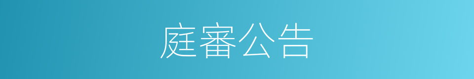 庭審公告的同義詞